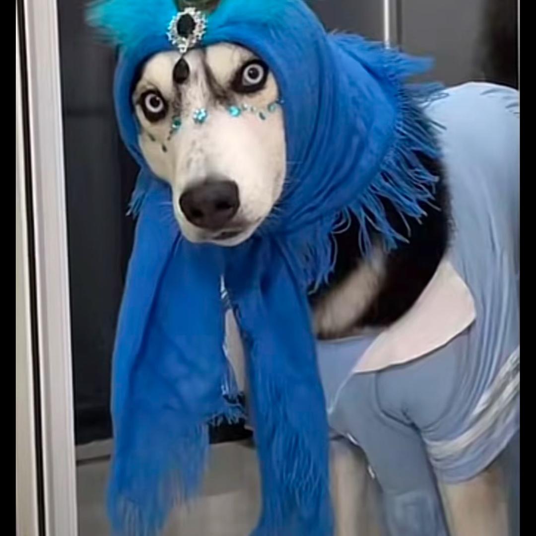 单调
