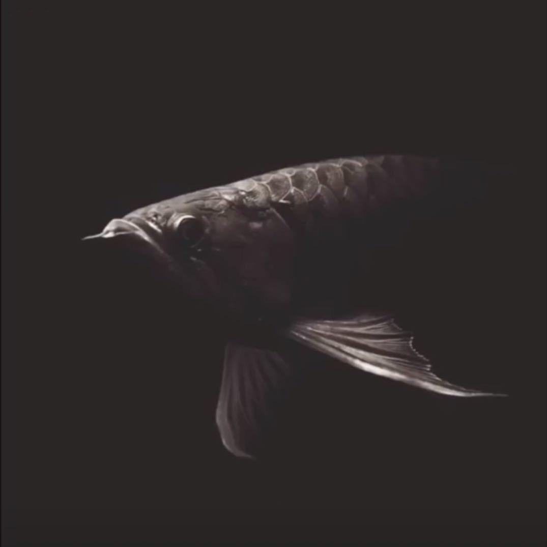 ผมรักคุณ