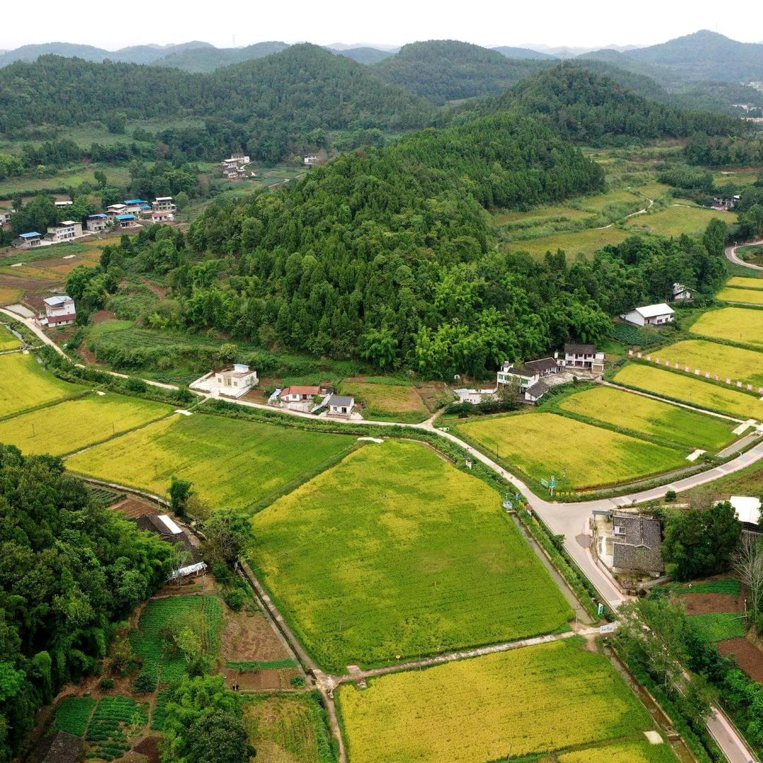 阿勇