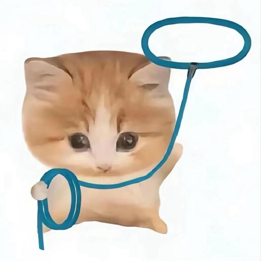 pp