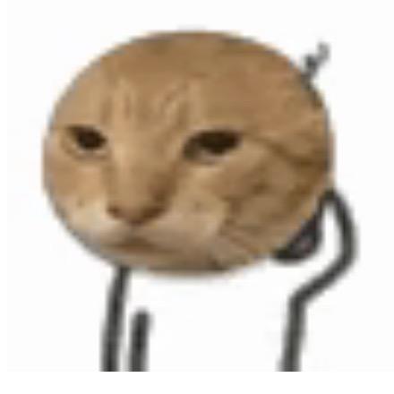 哈基米