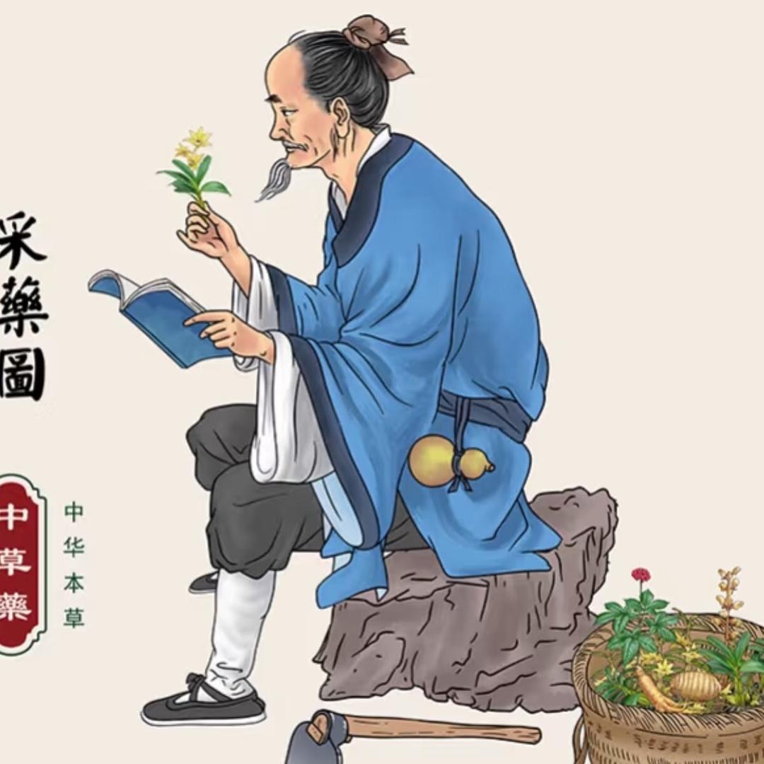 仙草堂🍃