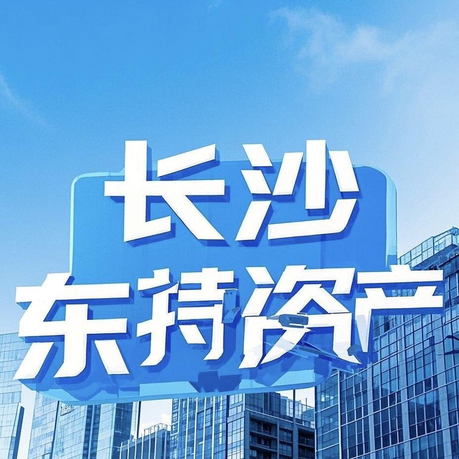 长沙东持（特殊资产）