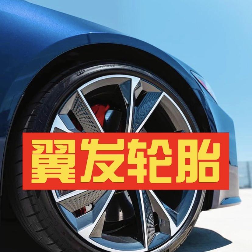 翼发轮毂轮胎