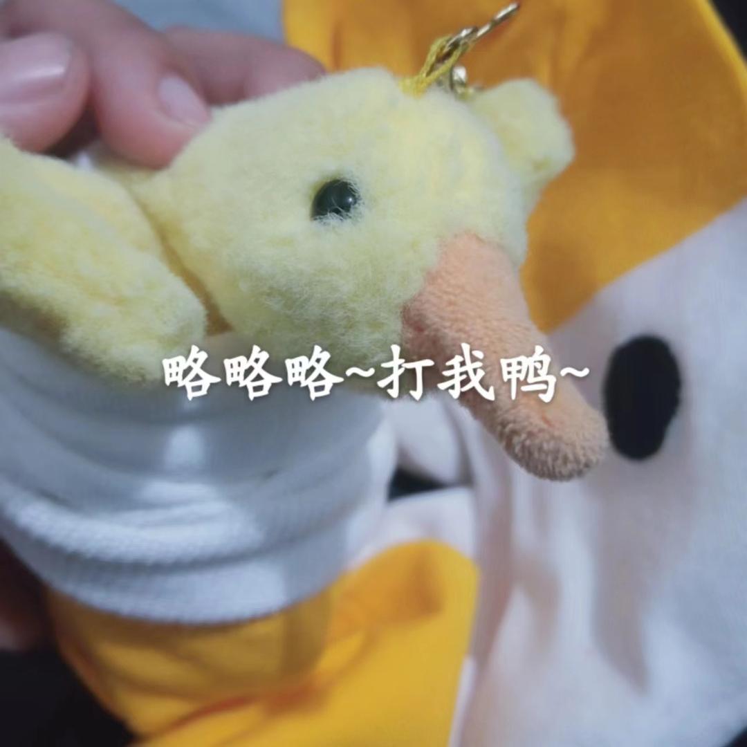 Z王不二
