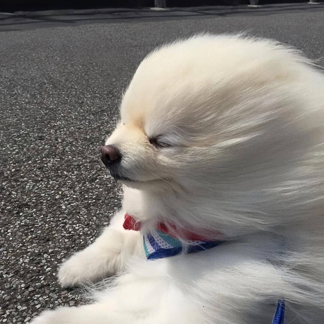 海风