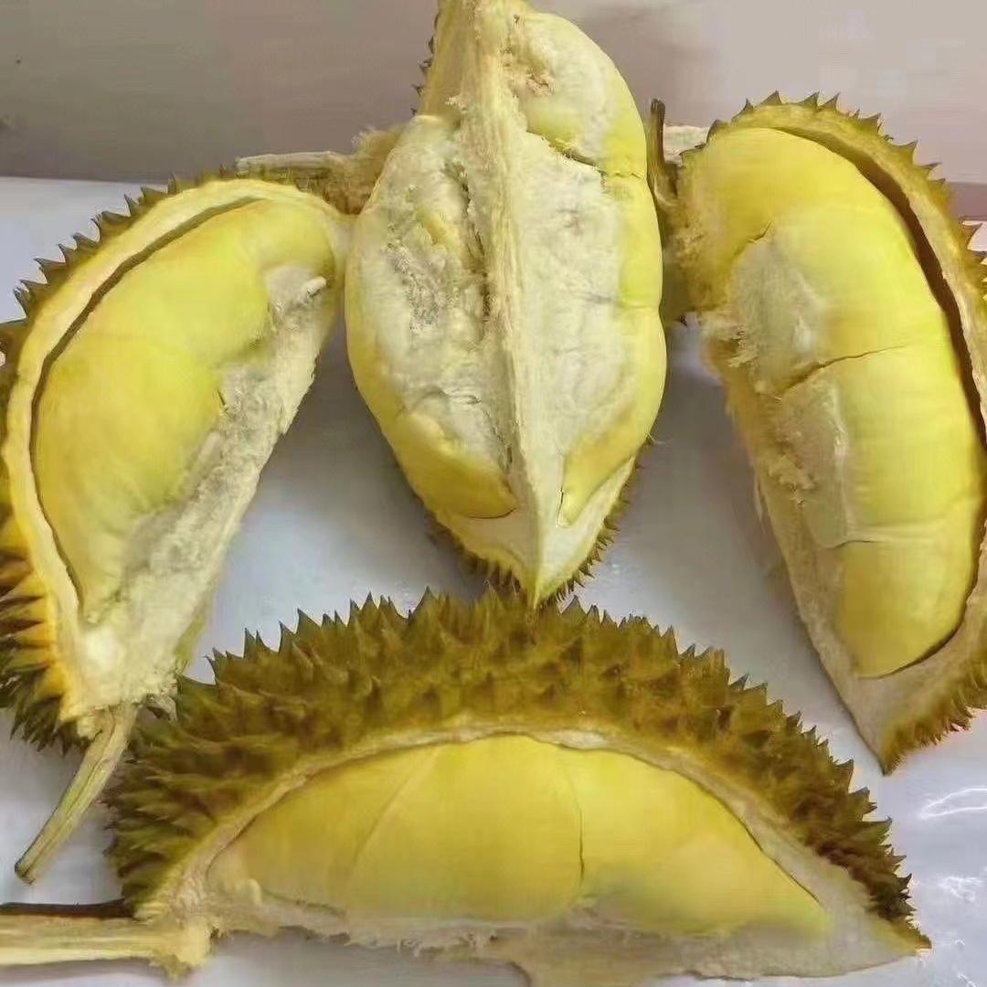 榴掌柜泰工厂