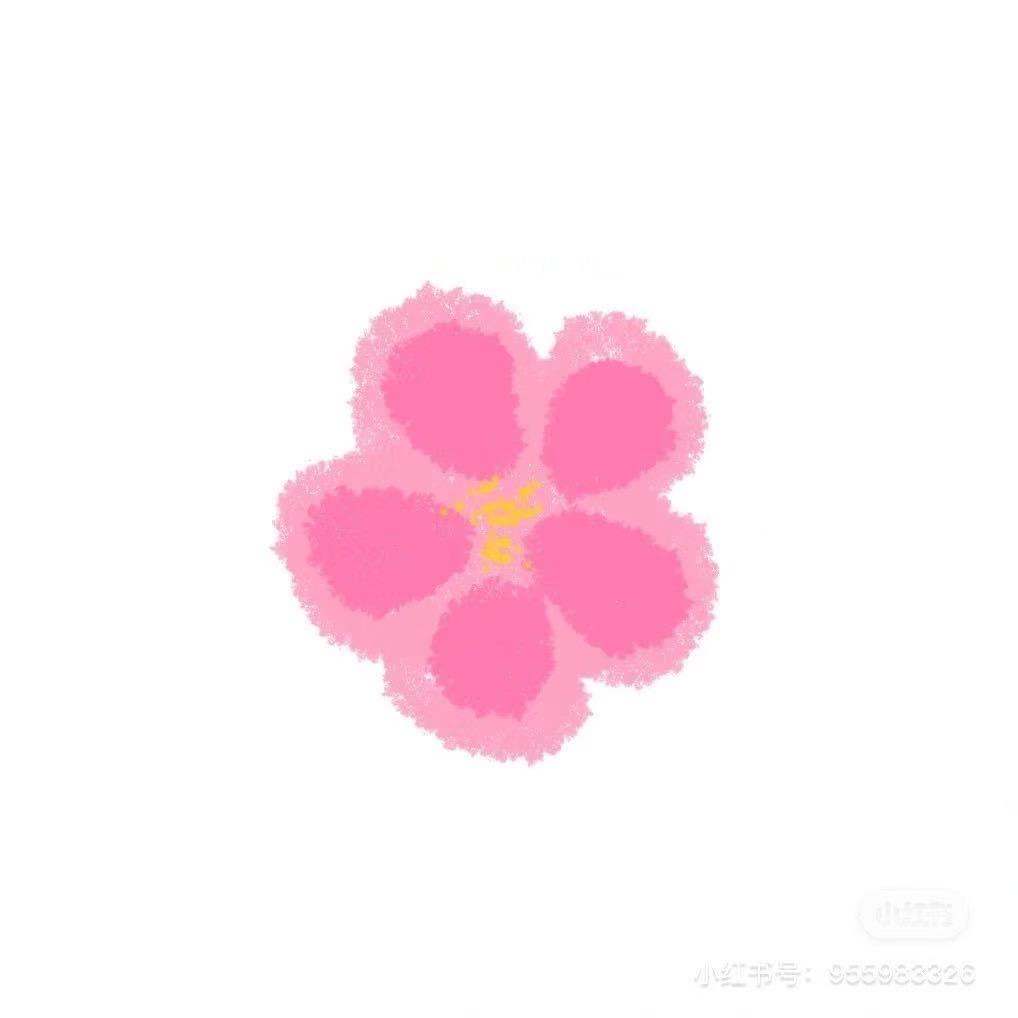 小花花🌸