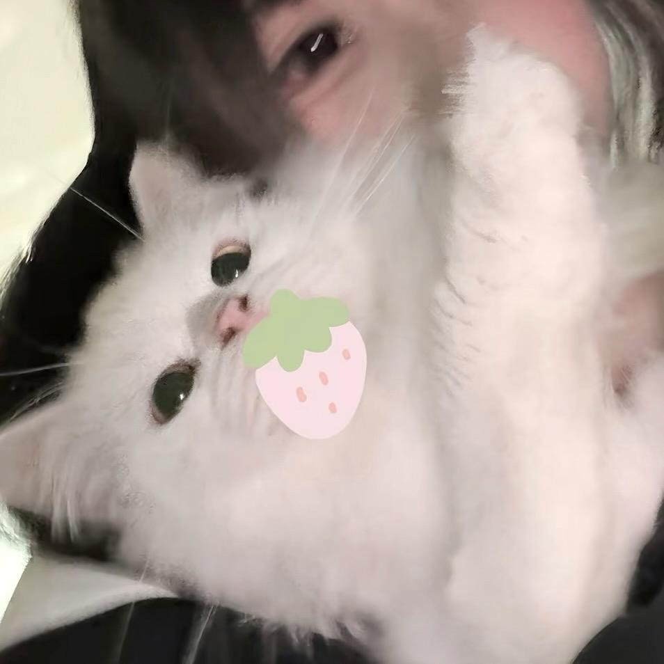 鑫鑫控