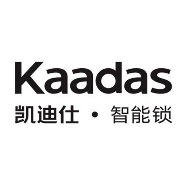 武胜路凯迪仕门店