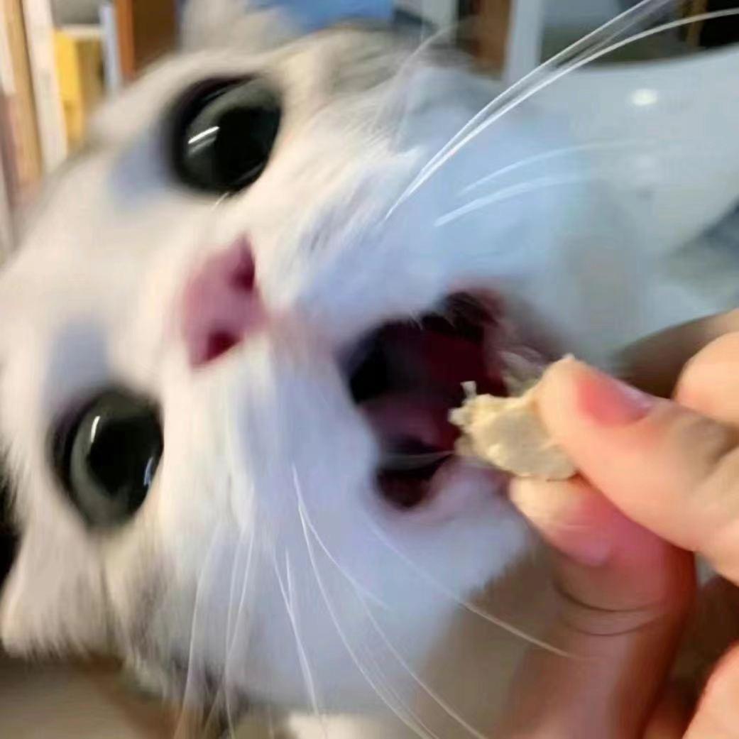 乖宝比个椰>ᴗoಣ