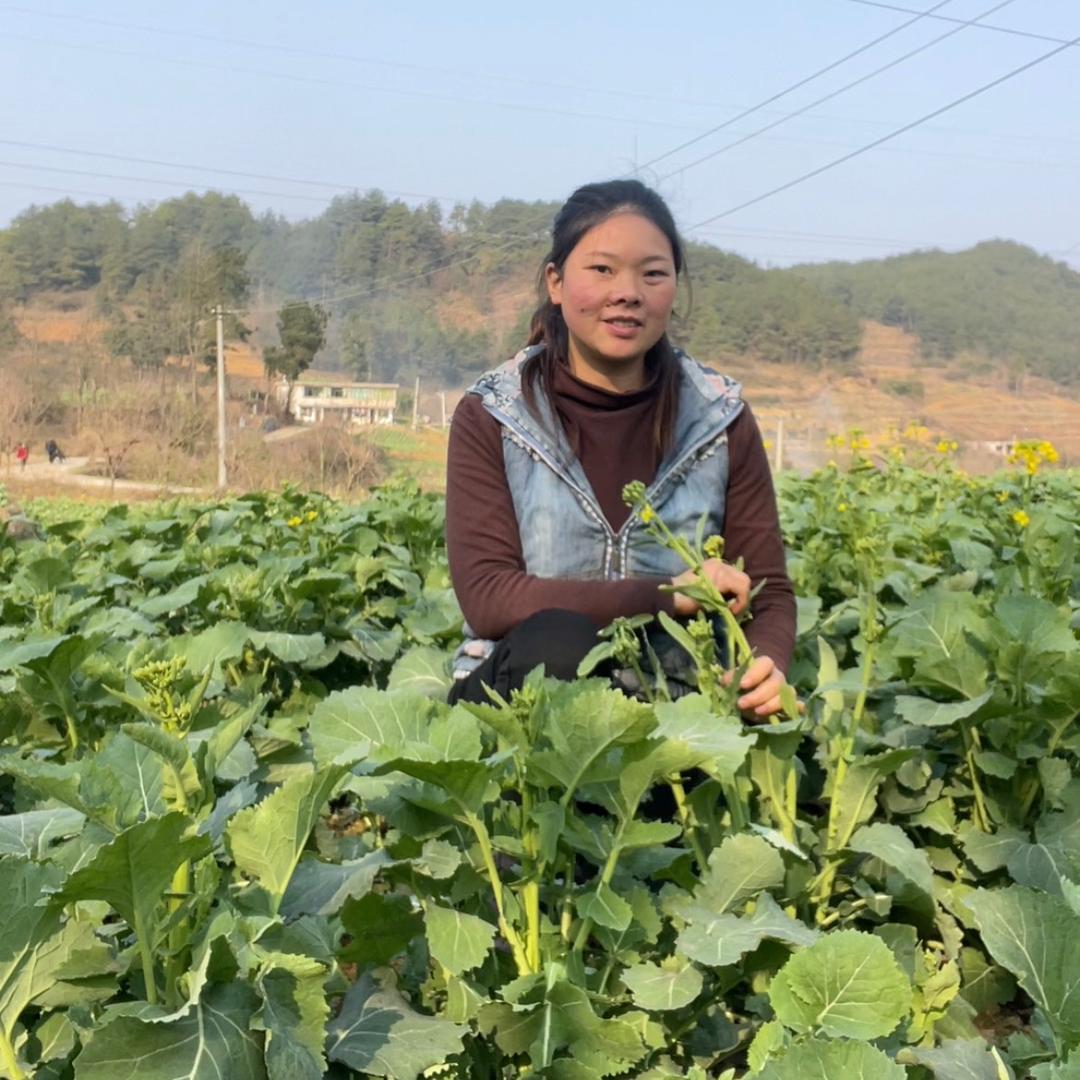 黔货出山农产品