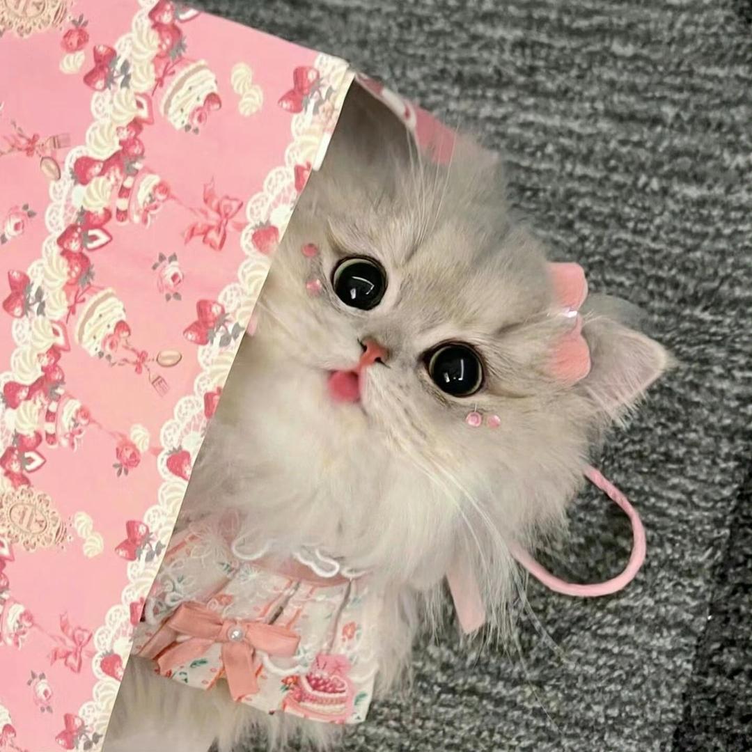 小恩