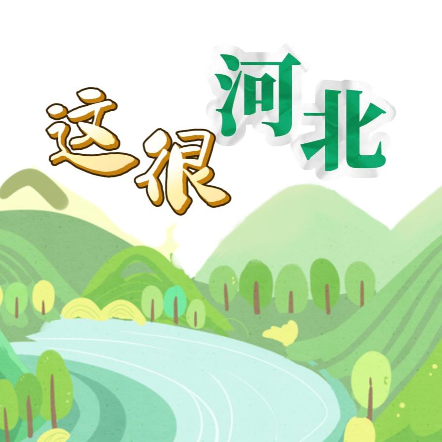 这很河北(大洋哥)