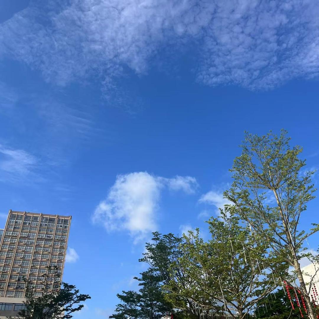 广州东跃电动车商行