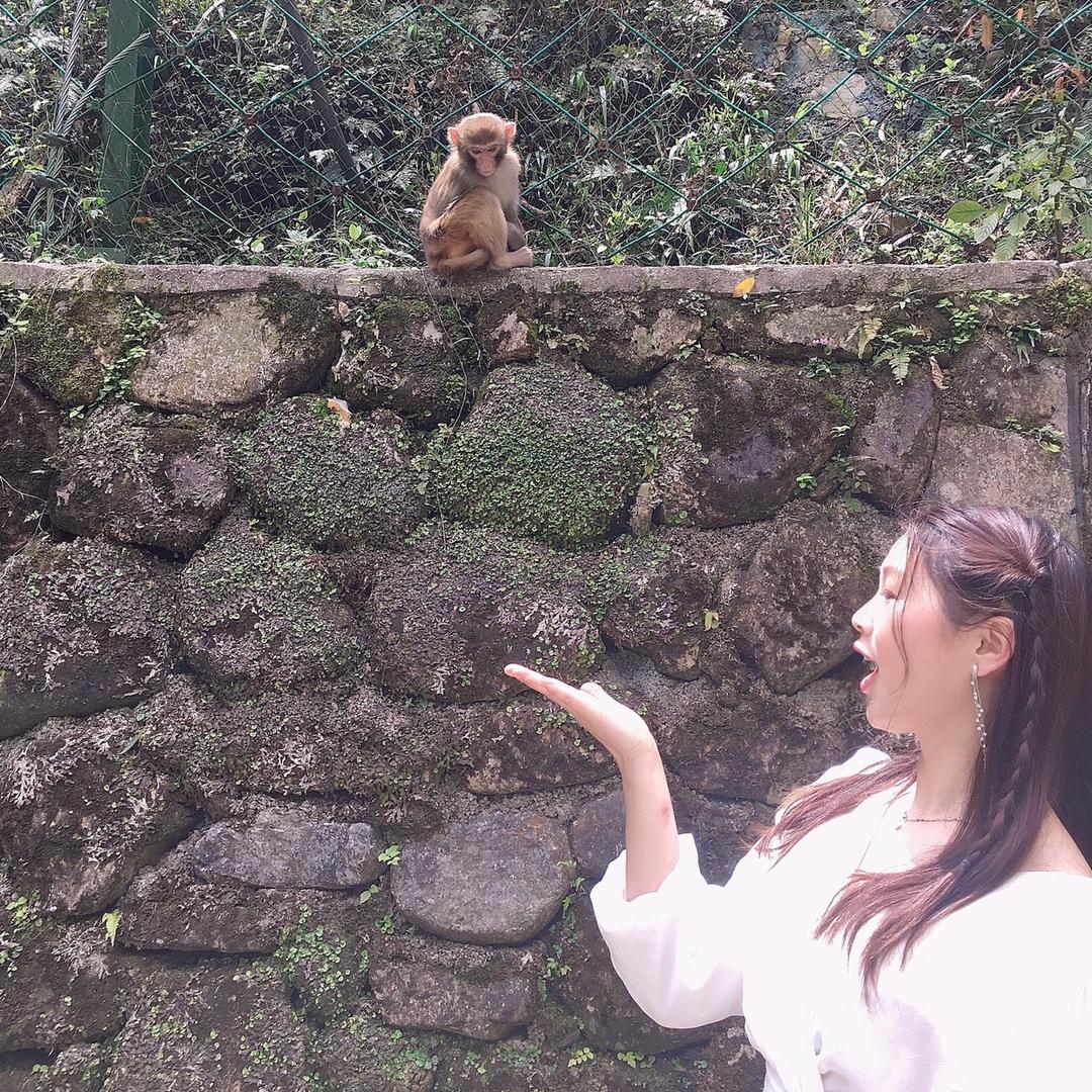 湘信美丽旅途