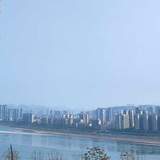 廱龜晸軰