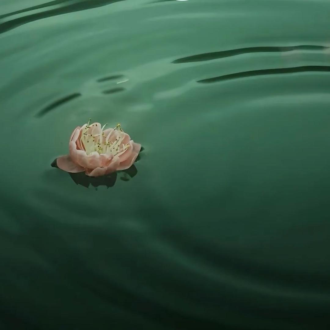 阿K🪷