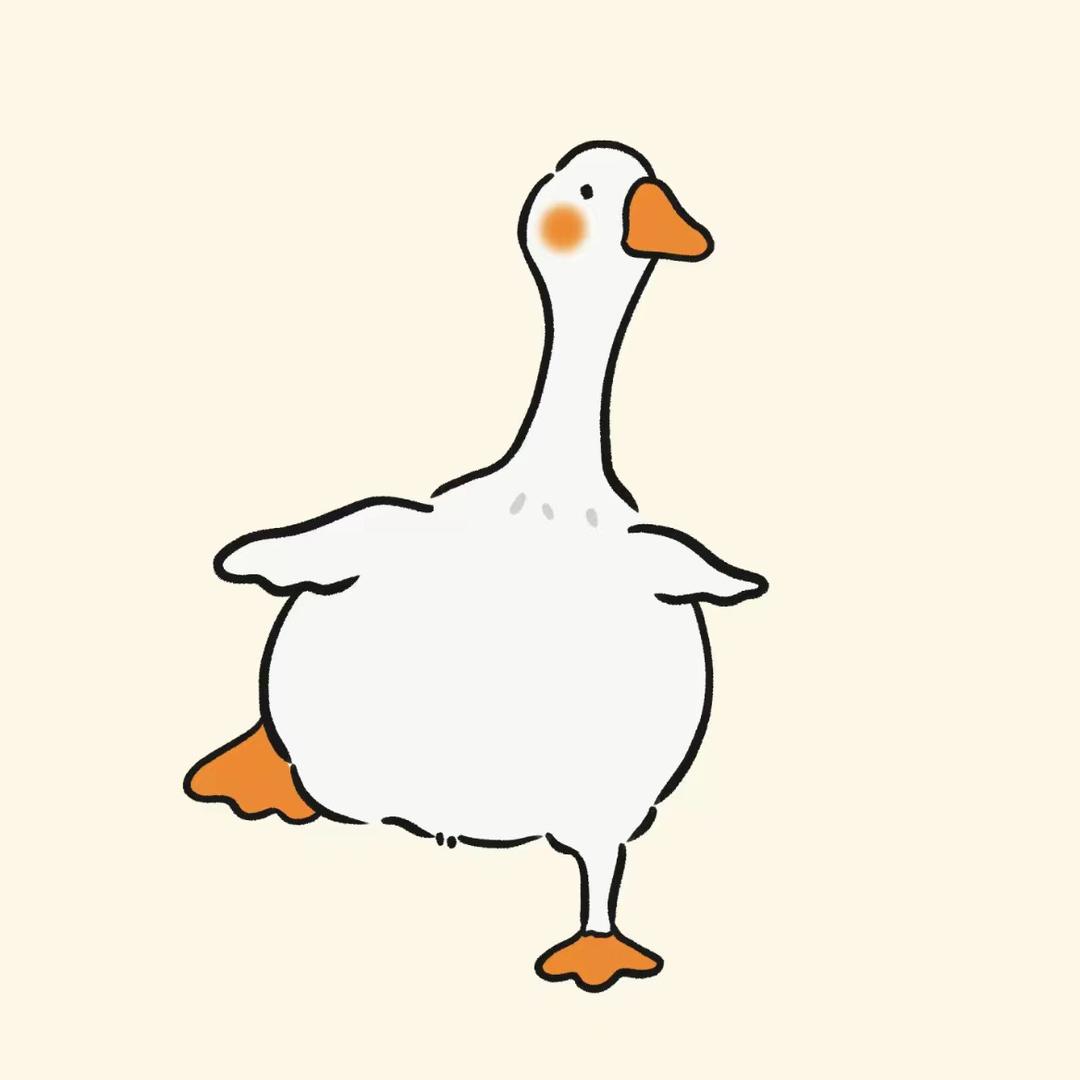呈色饰品