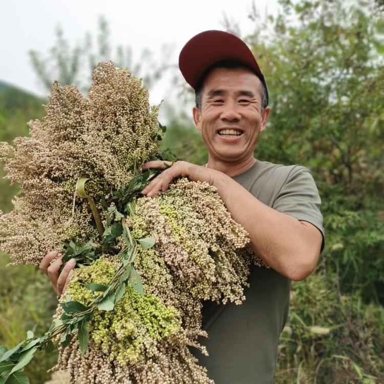 咱村小张