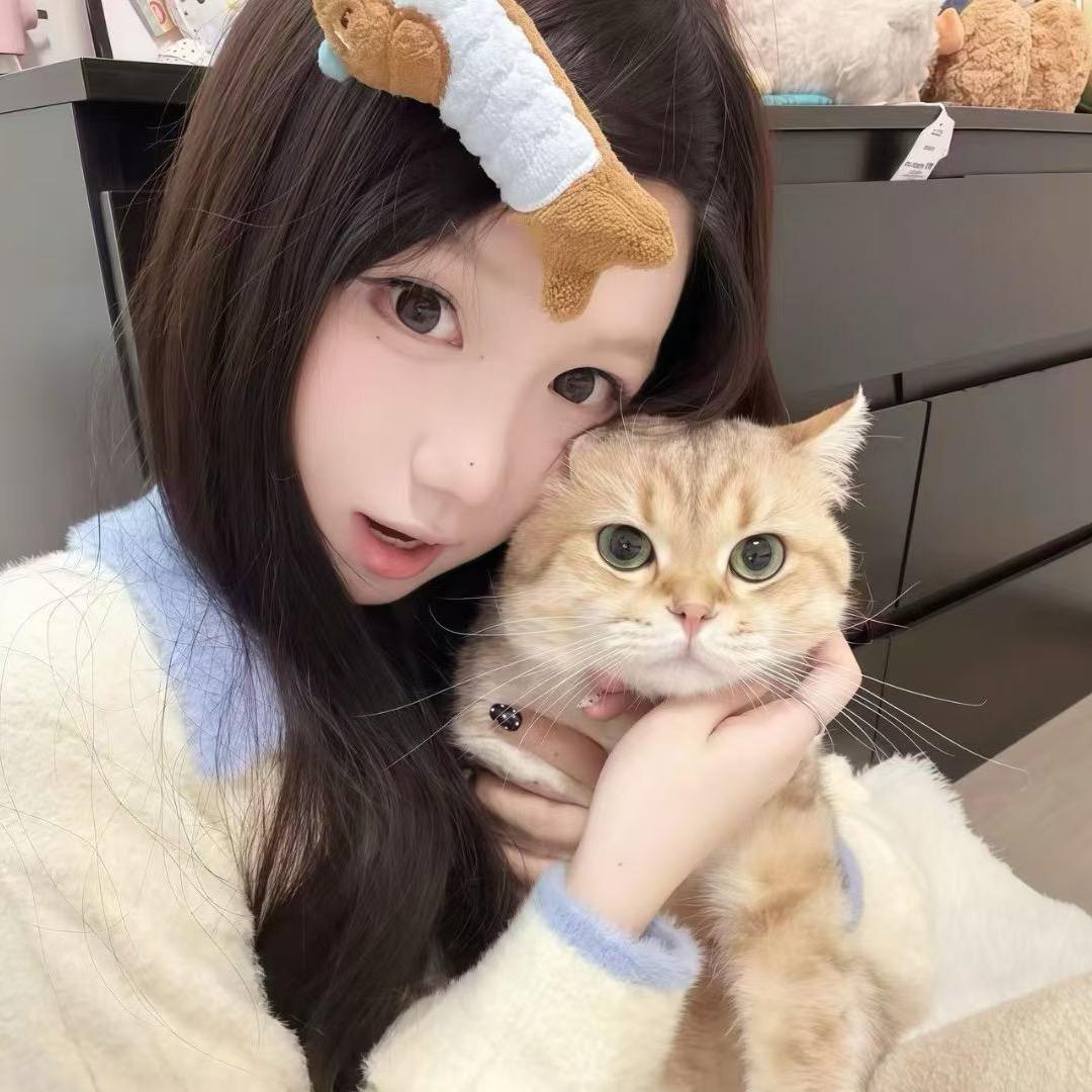 愚蠢小刘