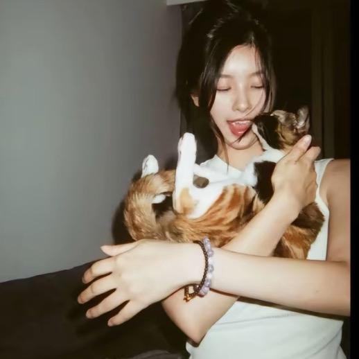 beibei
