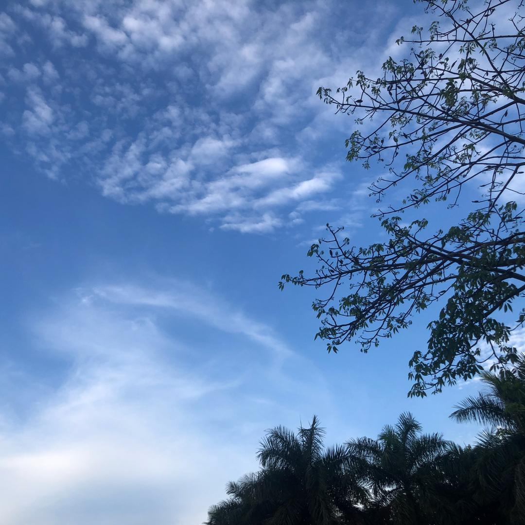 流沙做卫浴的宝妈