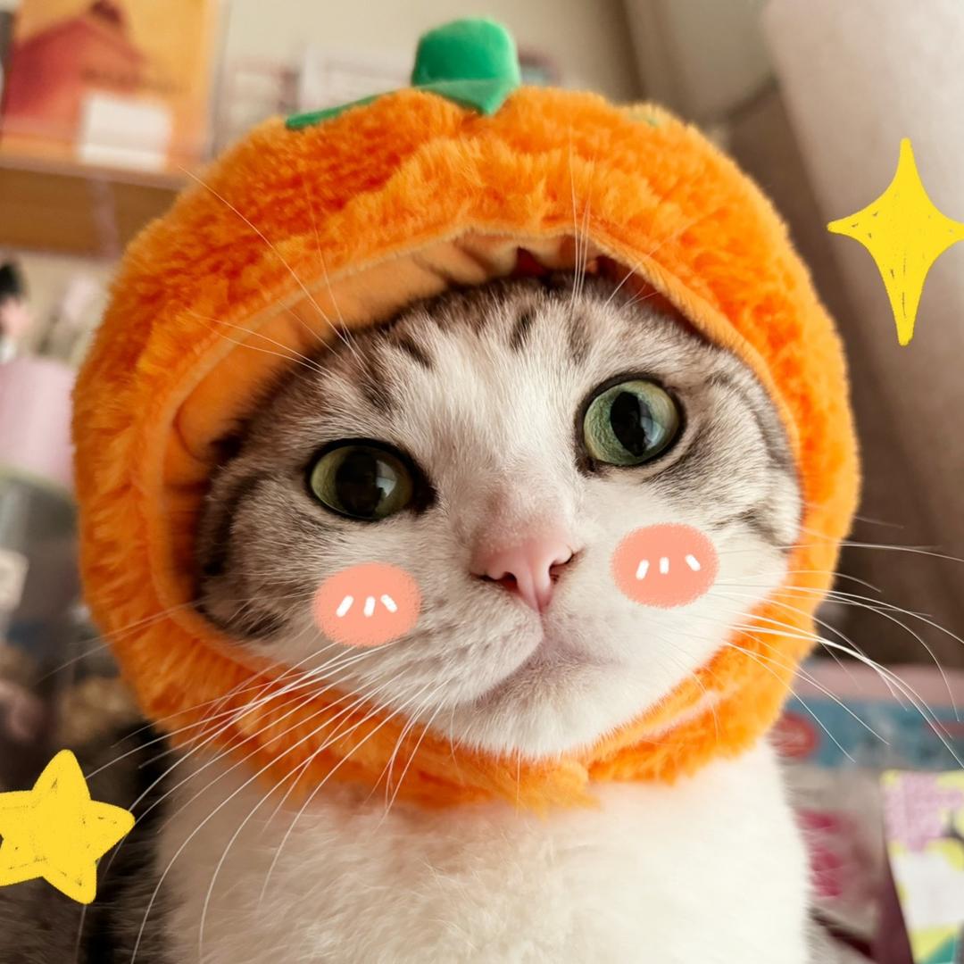 Kiyomi
