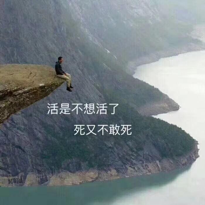 伟华小牛