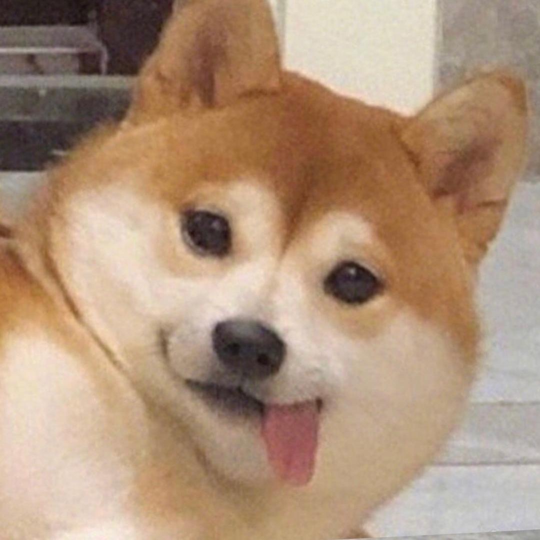 AAA专业妙脆角代吃