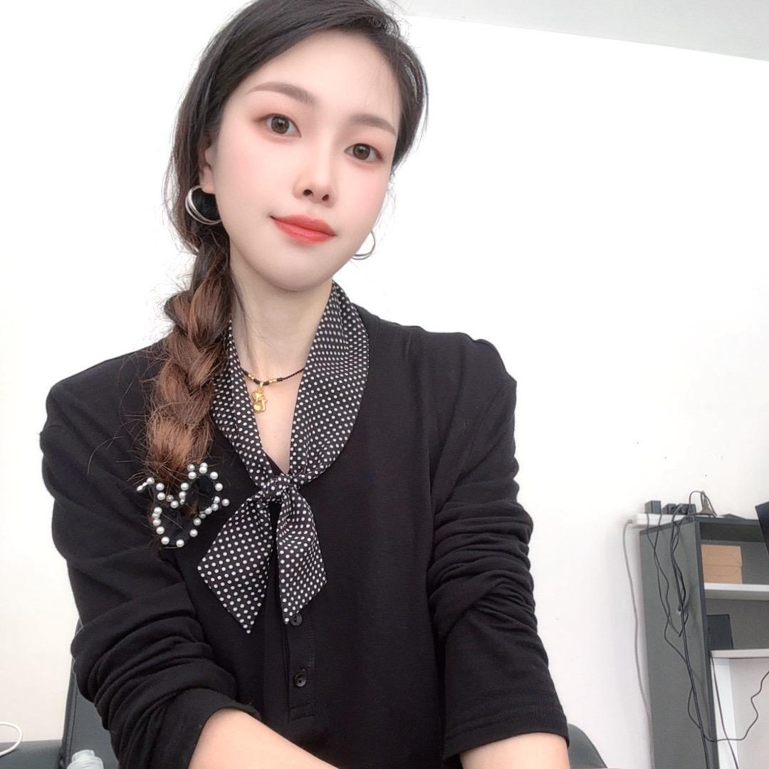 燕子LY