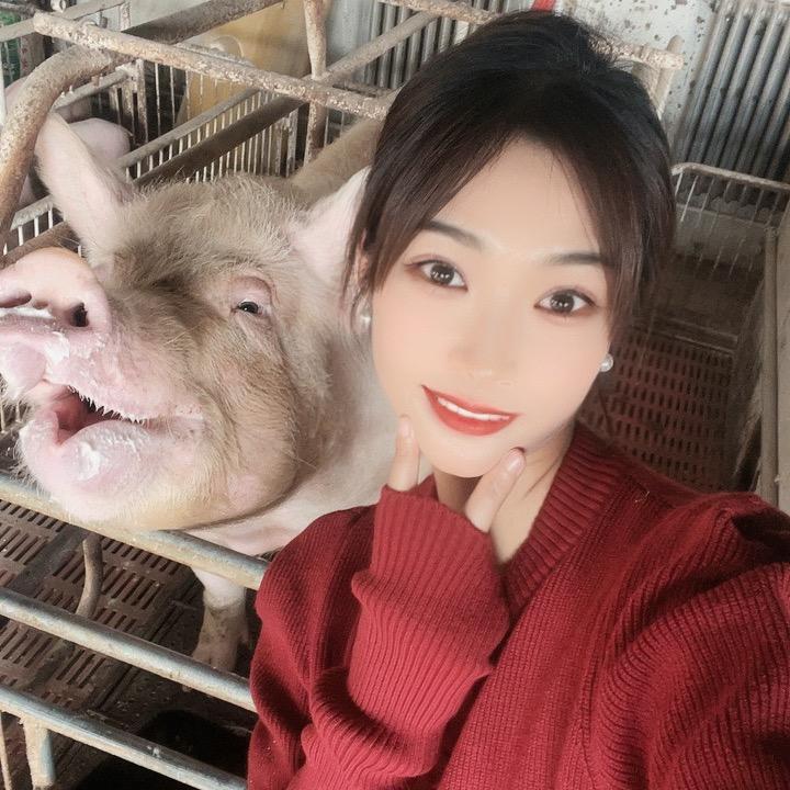 养猪西施/如月