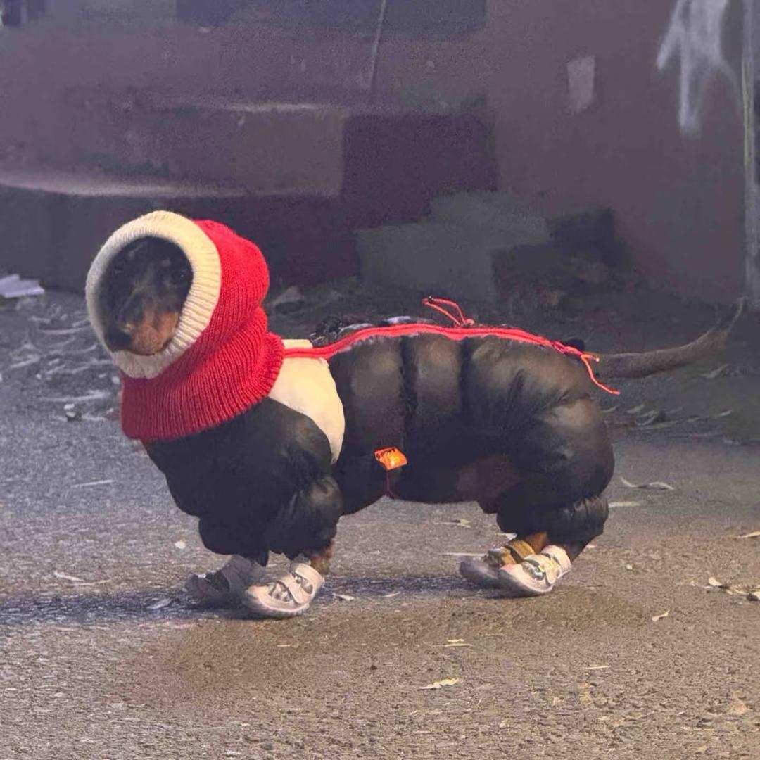 钱来了