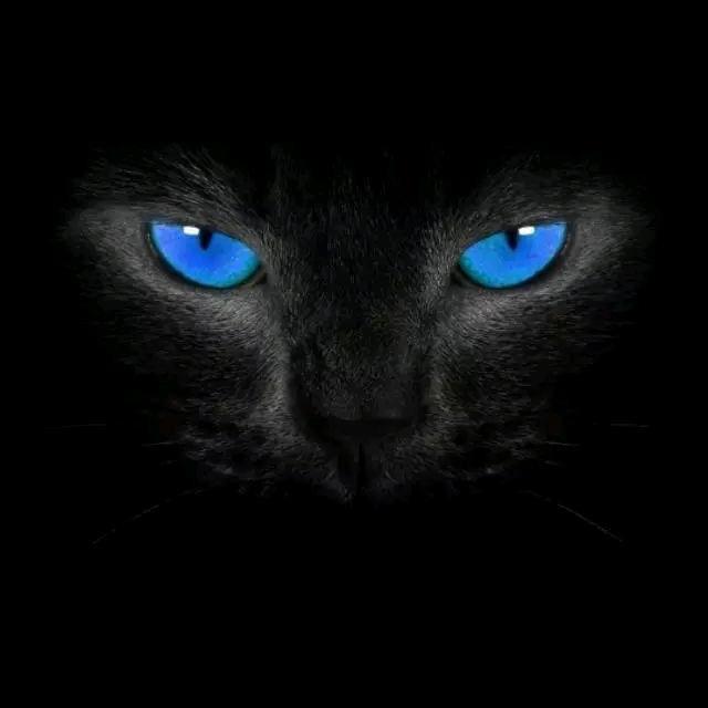 半生烟雨👻ᴳᵀ🌈