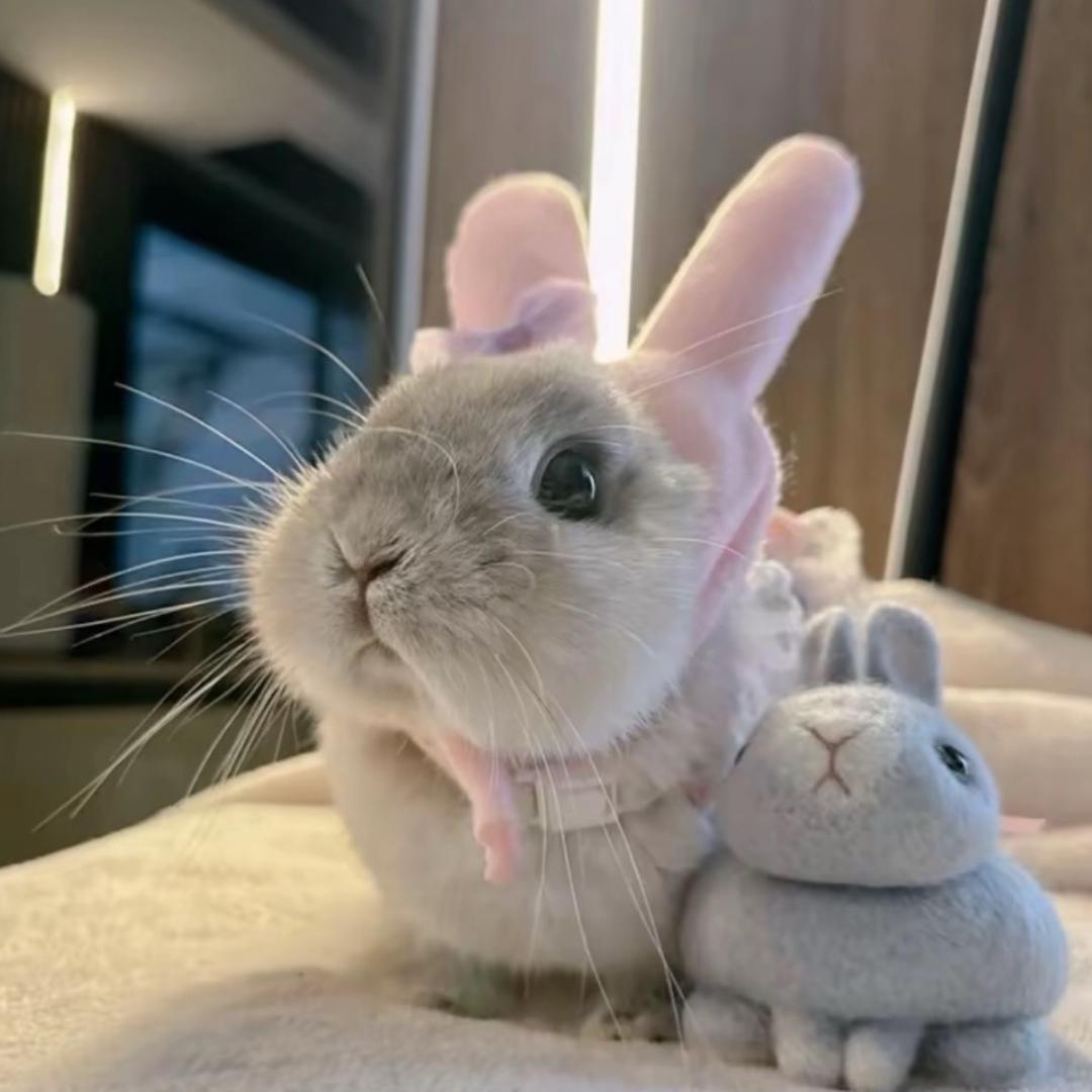 ㅤㅤㅤ