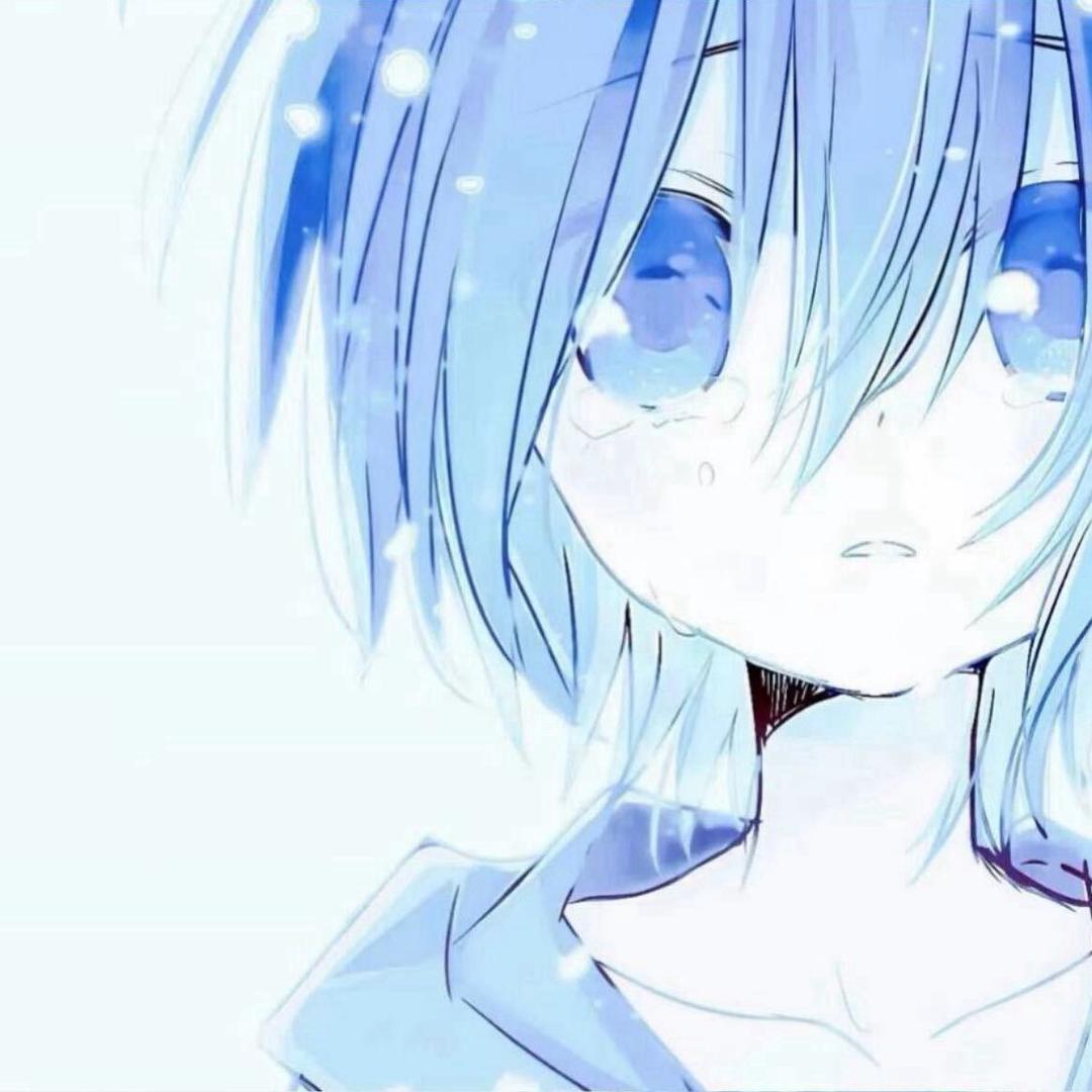 小念（直播号）