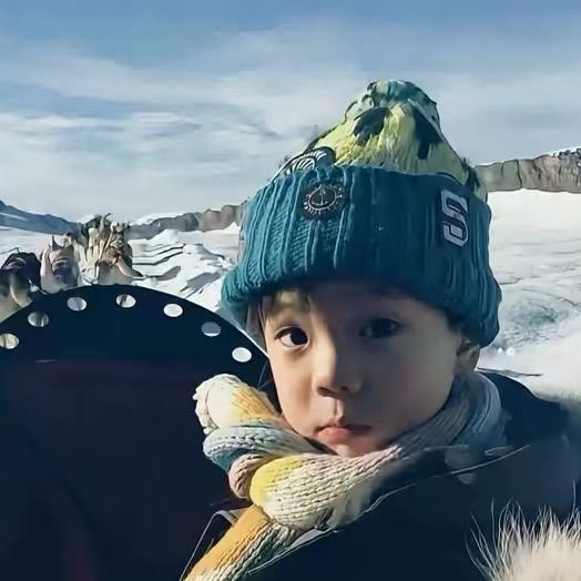 段泓利