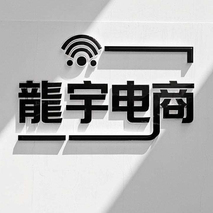 龍宇电商公司创始人
