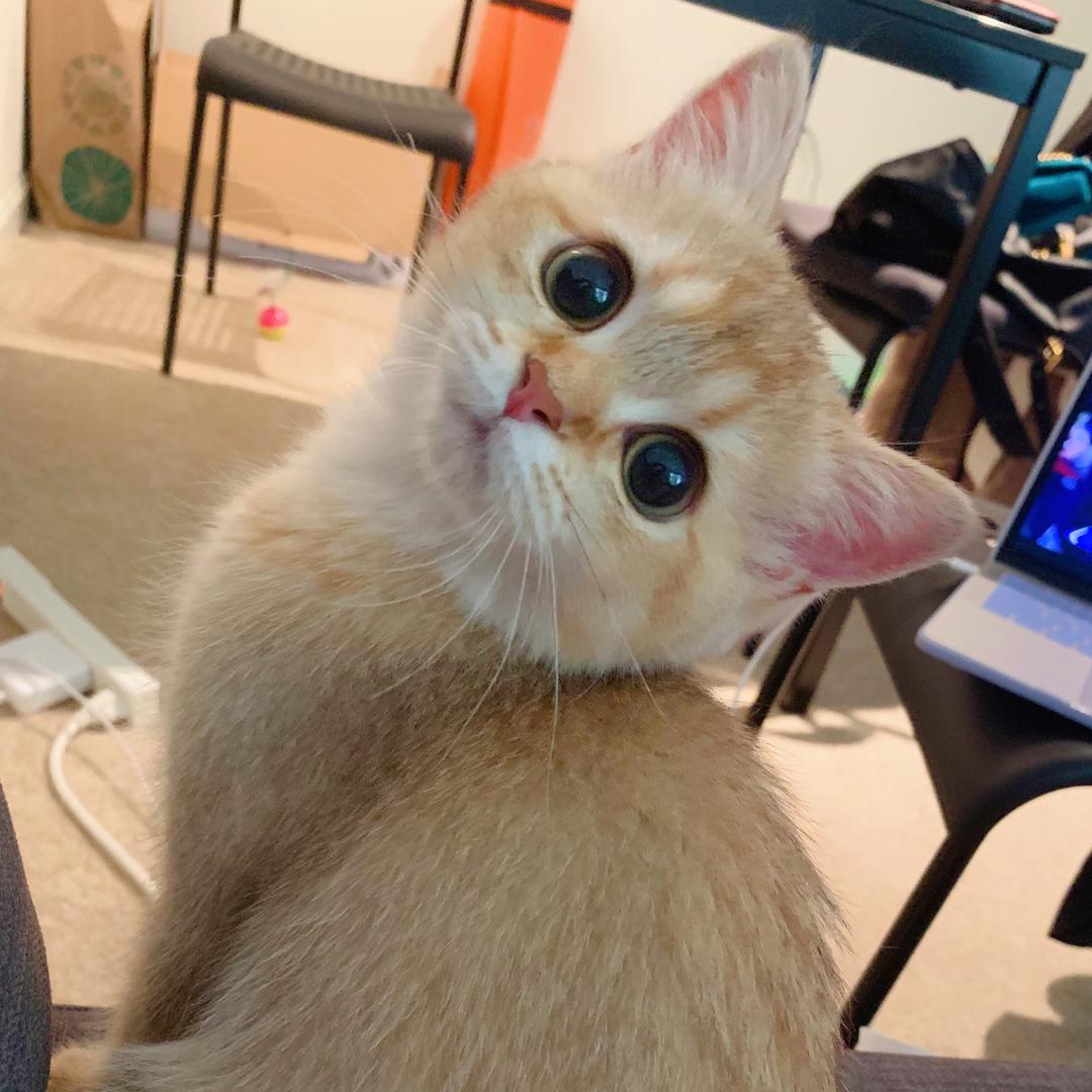 Rita_🧚🏻‍♀️