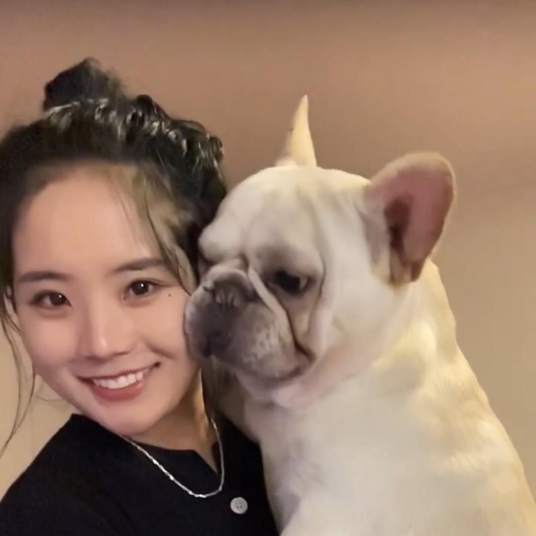 卓宝zm