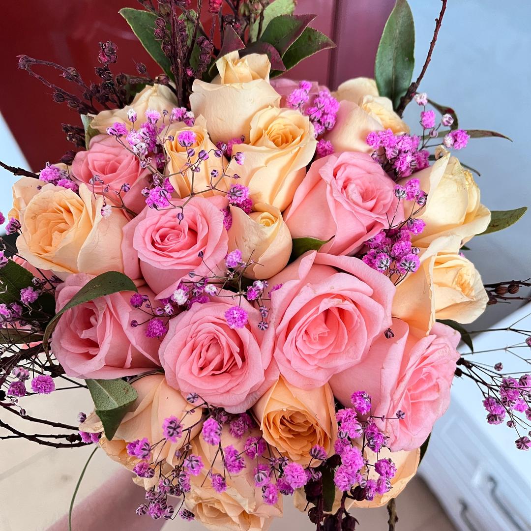 好运加满⁺¹⁰⁰