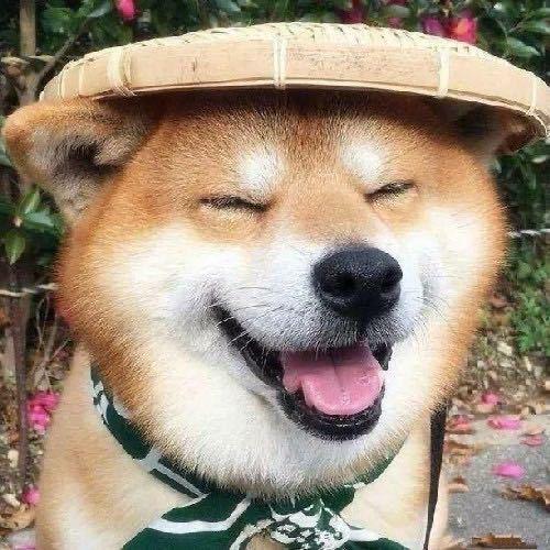 心赖
