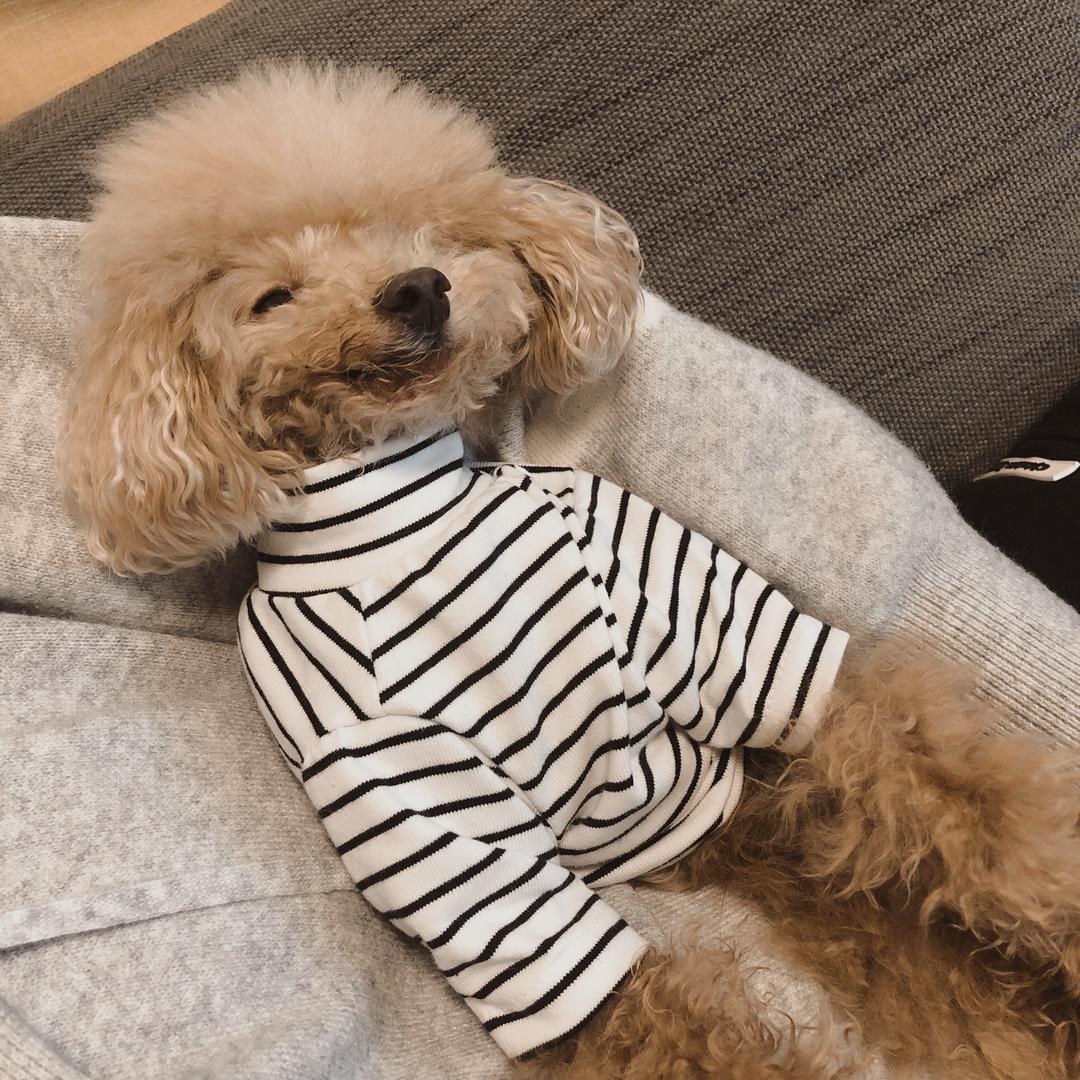 请叫我太后大人