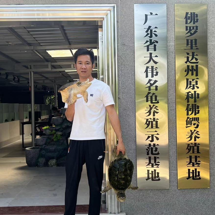 大伟佛鳄回收号