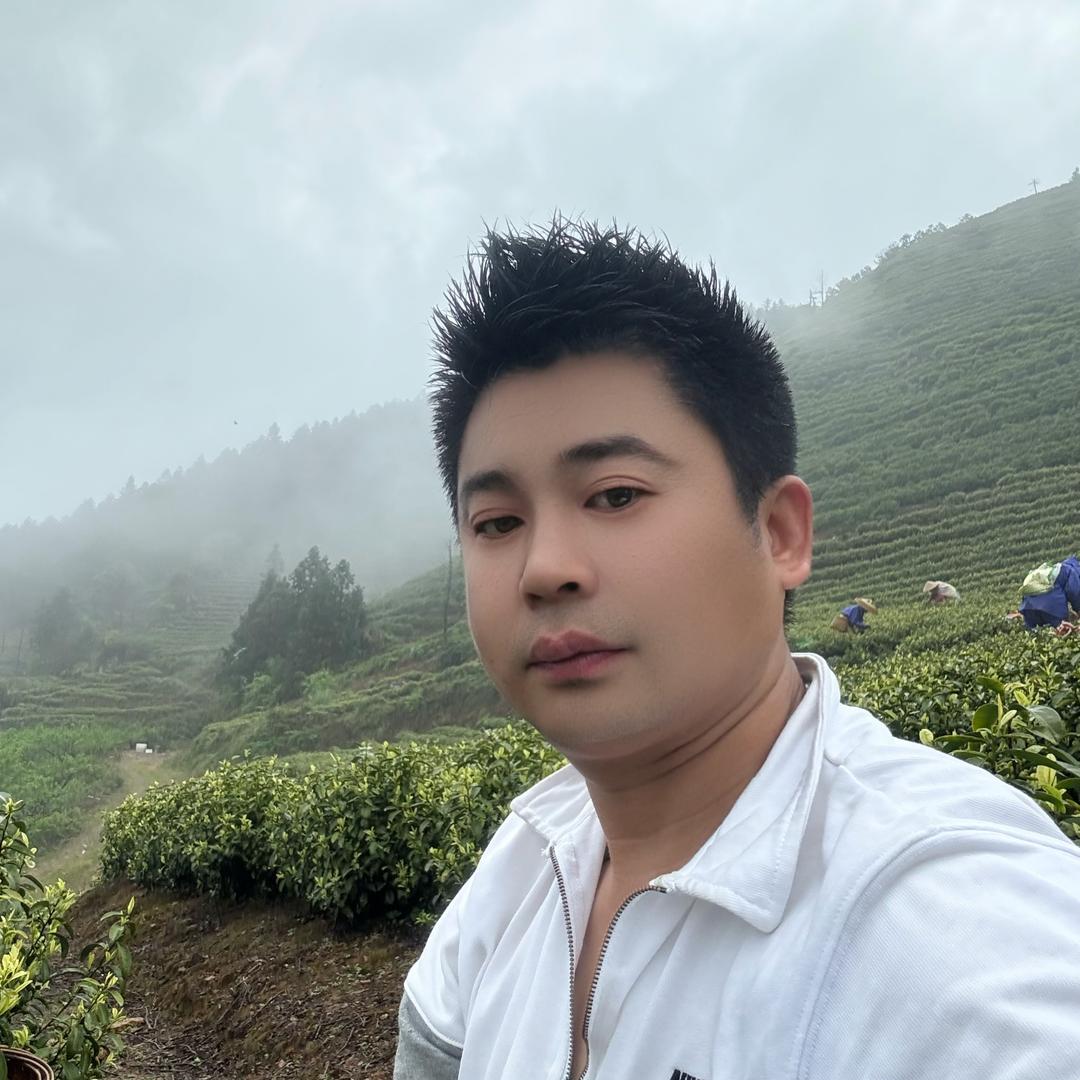 松阳春不晚茶味臻选阁