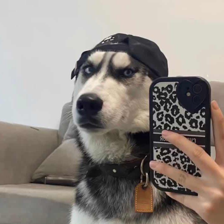 郑快乐🎉