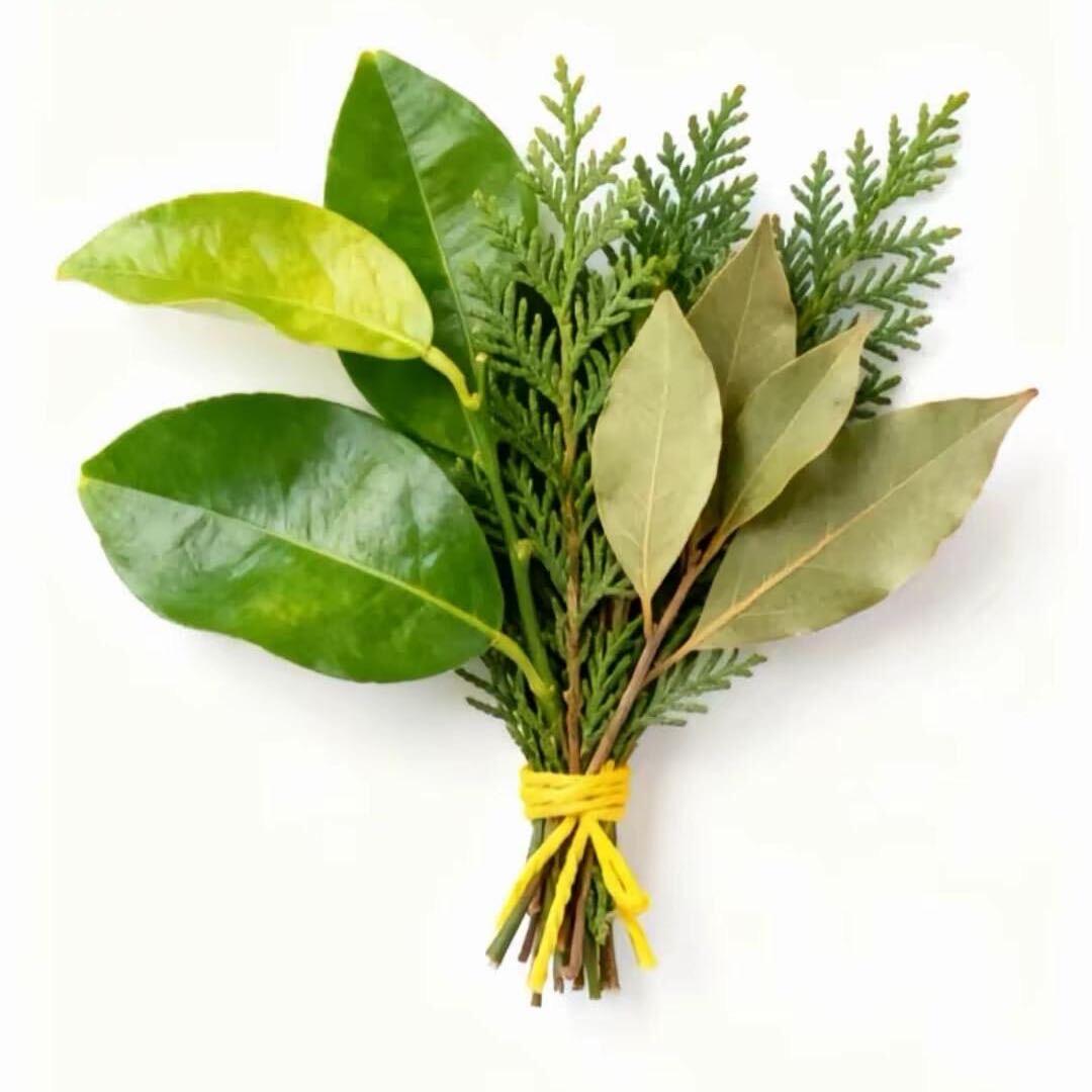 ‍‍纯爱战神‍.