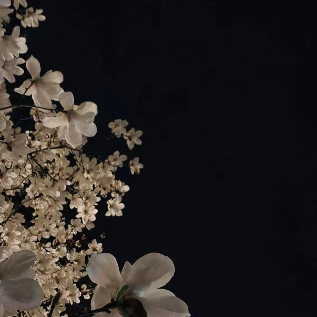 多次拒绝古力娜札