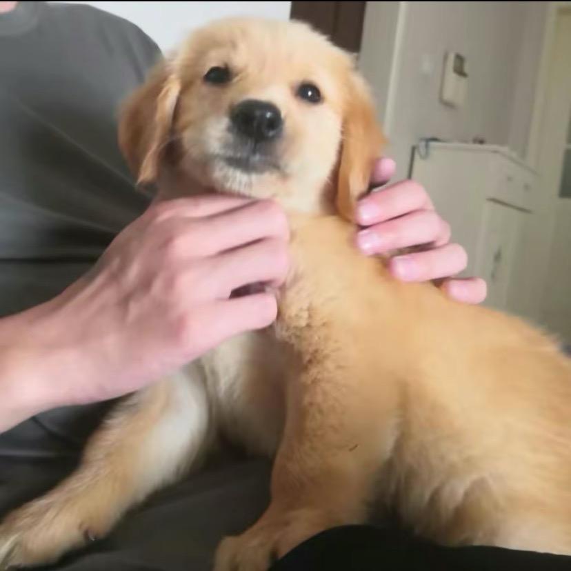 当当当当（三角洲行动）