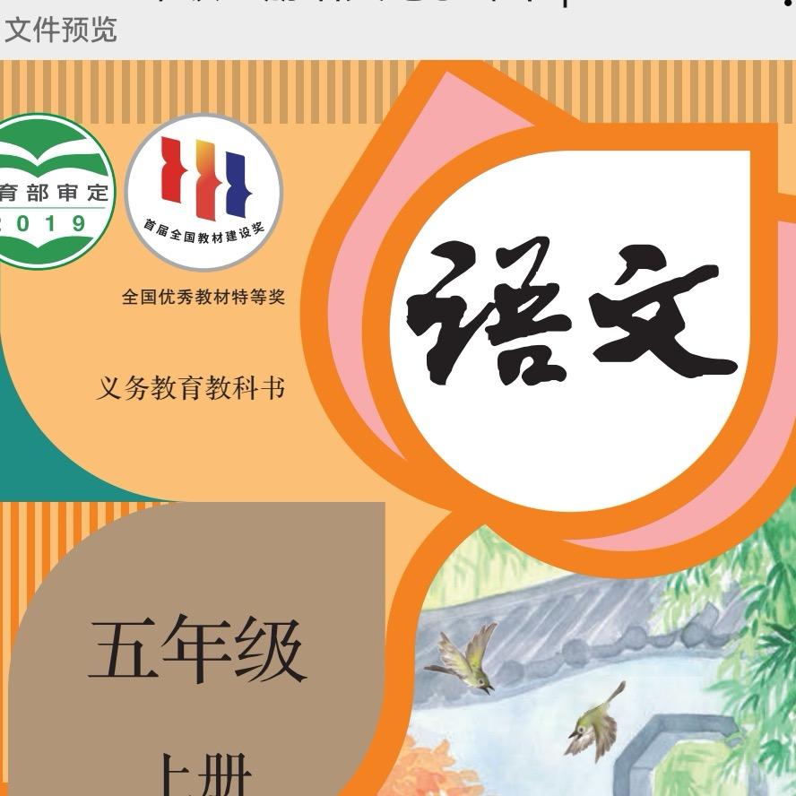 海洋老师